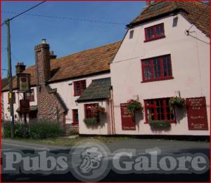 Picture of Rose & Crown