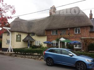 Picture of The Swan