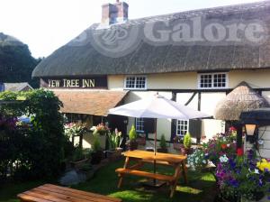 Picture of Yew Tree Inn