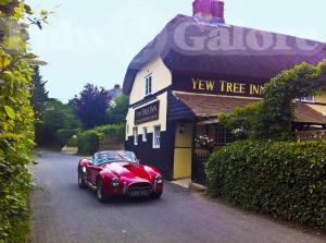 Picture of Yew Tree Inn