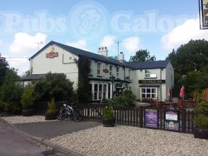 Picture of The Check Inn
