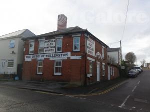 Picture of Duke Of Wellington