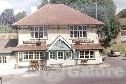 Picture of The Elm Tree