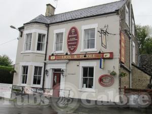 Picture of Lion & Fiddle