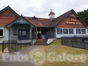 Picture of Golden Lion