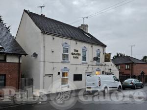 Picture of The Golden Lion