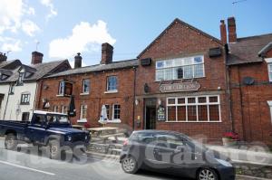 Picture of The Old Lion