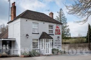 Picture of Red Lion