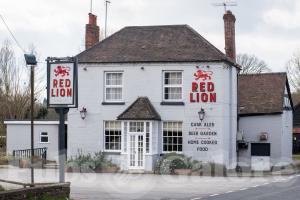 Picture of Red Lion