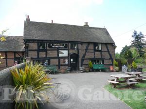 Picture of The Mug House