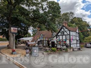 Picture of The Old Bull
