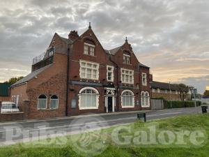 Picture of The Blooming Rose