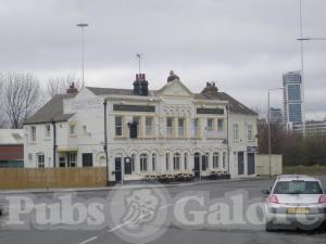 Picture of The Golden Lion