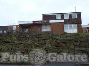 Picture of Horse & Groom