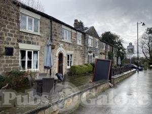 Picture of The Roundhay Fox