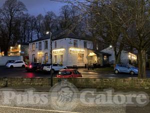 Picture of The White Swan