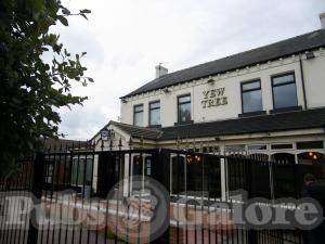 Picture of Yew Tree