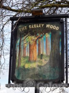 Picture of Beeley Wood