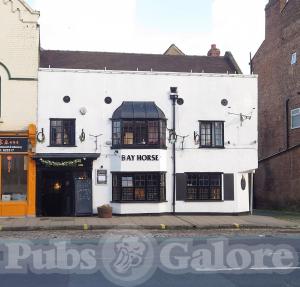 Picture of Bay Horse