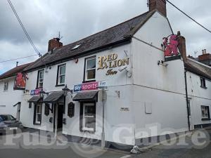 Picture of Red Lion