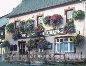 Picture of The Bunch Of Grapes