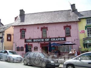 Picture of The Bunch Of Grapes