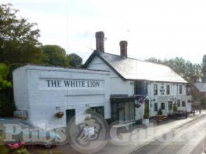 Picture of The White Lion