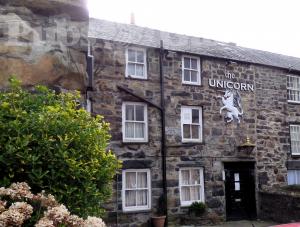 Picture of The Unicorn / Yr Unicorn