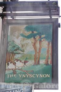 Picture of The Ynyscynon