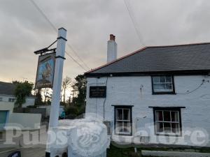 Picture of The Bucket of Blood