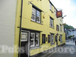 Picture of Golden Lion