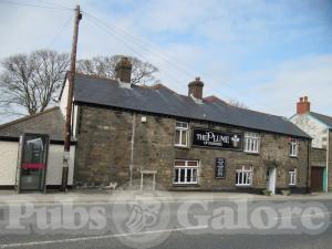 Picture of The Plume Of Feathers