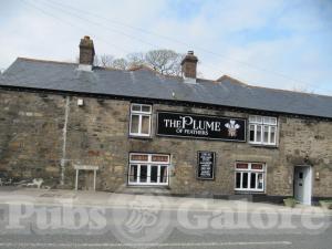 Picture of The Plume Of Feathers
