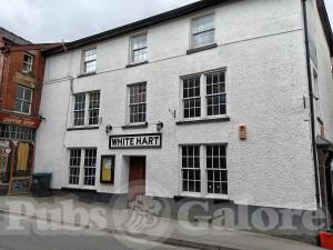 Picture of White Hart