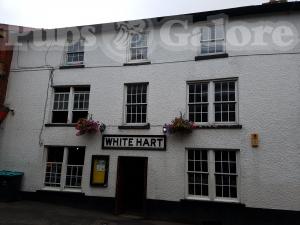 Picture of White Hart