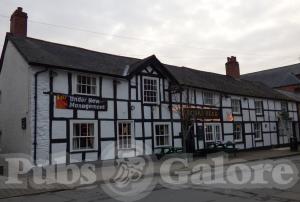 Picture of Whistling Badger @ Royal Head