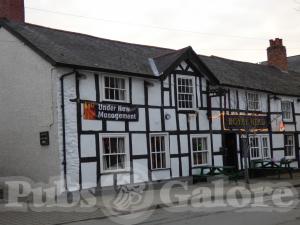 Picture of Whistling Badger @ Royal Head
