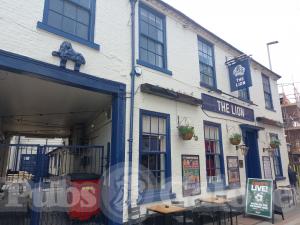Picture of The Lion
