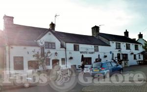 Picture of Old White Hart