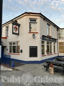 Picture of The Pilot