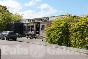Picture of The White Cockade