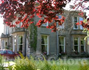 Picture of Old Racecourse Hotel