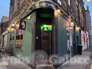 Picture of The False Widow