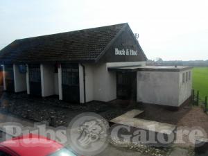 Picture of Buck & Hind