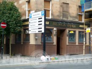 Picture of Black Bull
