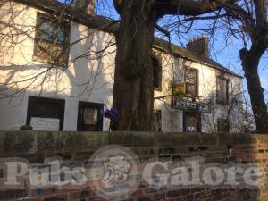 Picture of Bushes Bar