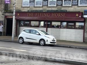 Picture of Flying Horse