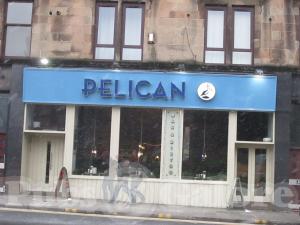 Picture of The Pelican