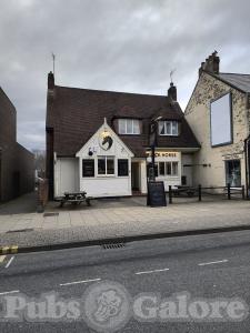 Picture of Black Horse