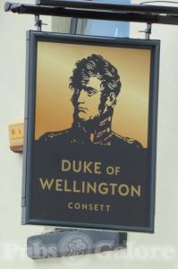 Picture of Duke of Wellington